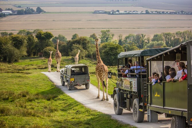 Port Lympne Day Ticket - Key highlights that matter before you go
