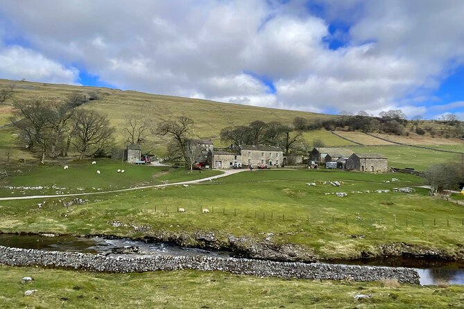 Private "All Creatures Great and Small" Yorkshire Dales Tour from York - Why This Private All Creatures Tour From York Feels Better Than Bigger Buses