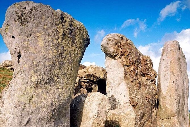 Private Archaeologist Guided Tour Stonehenge, Salisbury & Avebury - Salisbury Cathedral and Magna Carta: a thoughtful shift from stones to rights
