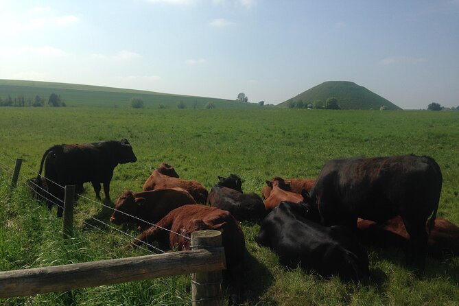 Private Archaeologist Guided Tour Stonehenge, Salisbury & Avebury - West Kennet Long Barrow and Avebury stone circles: the day’s payoff