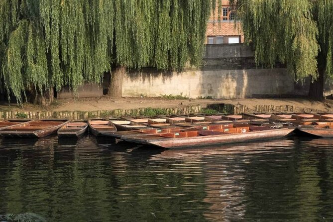 Private Cambridge Punting Tour - The College Backs Stretch: Just Under a Mile and Seven Colleges