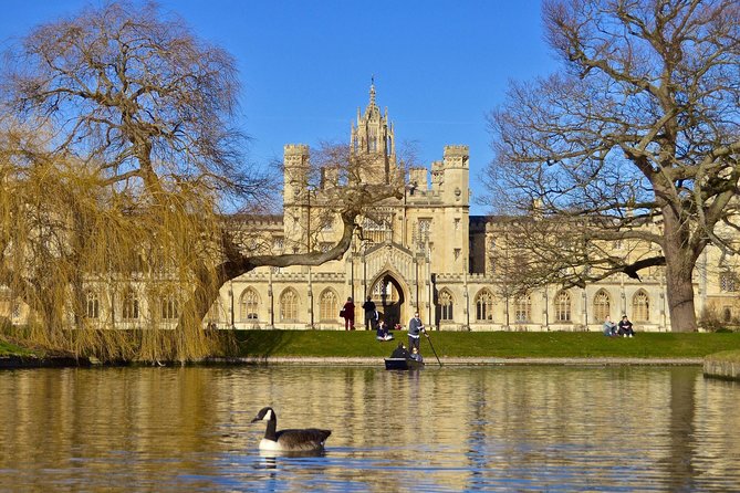 Private Chauffeur Punt Tour - The fan vaulted ceiling and the 1400s college stories you can’t forget
