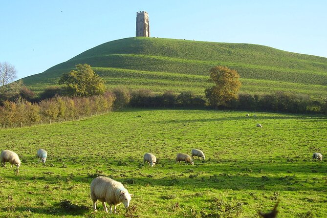 Private Day Tour from Bath to Glastonbury and Wells with Pickup - Private day tour logistics from Bath: how to make it smooth