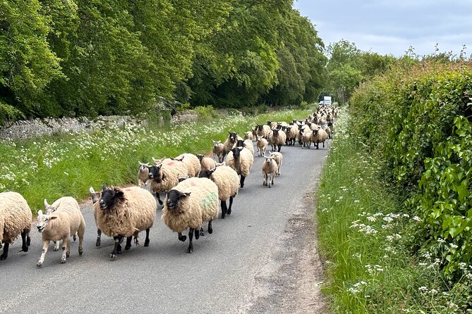 Private Day Tour from Bath to the Captivating Cotswolds - Cotswold gardens and a second secret stop (with seasonal swap)