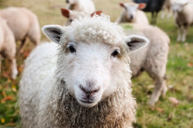 Private Day Tour to Oxford and The Cotswolds - How Customization Really Works on This Private Day