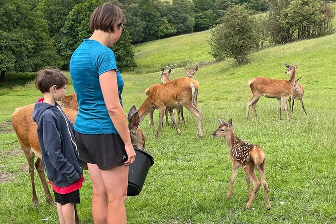 Private Deer Park Tour and Day Out in Leek - Weather, shoes, and simple prep that keeps the day pleasant