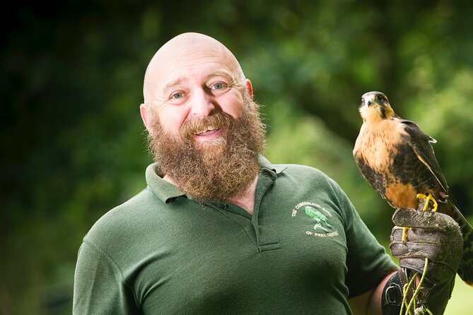 Private Family Bird of Prey Experience in Carlisle - Key Things That Make This Bird of Prey Experience Worth Your Time