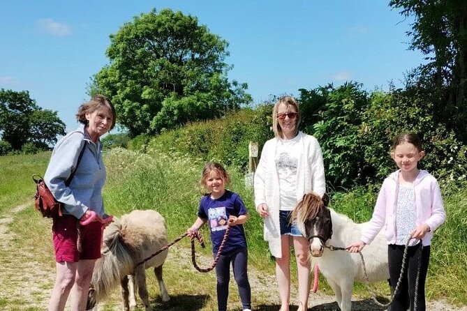 Private Miniature Horse Walking near Lincoln - Key Things You Should Know Before You Go