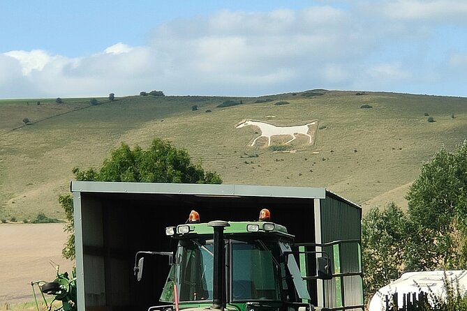 Private Stonehenge, Avebury & Mystical Car Tour + Guide - Woodhenge and Cherhill White Horse: quick stops that add texture