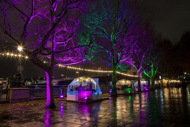 Private Tour: Night Photography Tour in London - Golden Jubilee Bridges: elevated framing of Westminster and St Paul’s