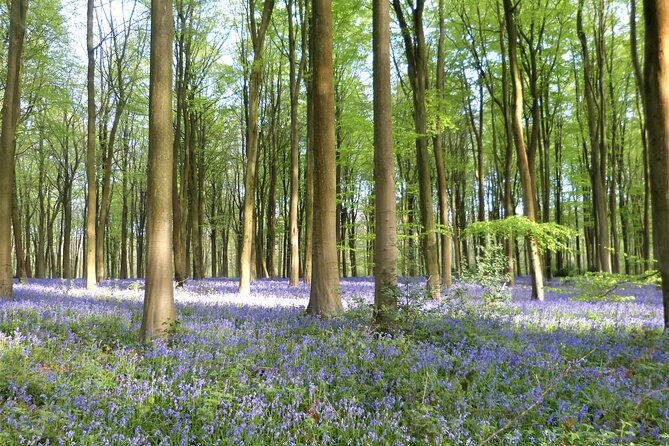 Private Tour of Quintessential Wiltshire and Cotswold Villages - Marlborough and Its Wide High Street, Tea, and Royal Connections