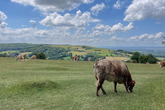 Private tour of the stunning Cotswolds with an expert local guide - Price and value for a 6.5-hour private route