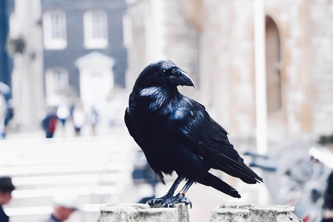 Private Tour of The Tower of London - How a Blue Badge private guide changes the whole experience