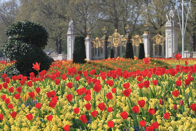 Private Walking tour London, Buckingham Palace to Big Ben and much more - St James’s Park: a calm pause inside a busy city