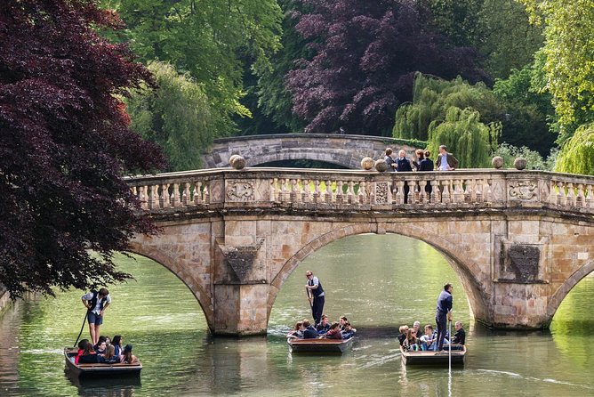 Punting Tour in Cambridge - Price and value: $112.34 per group up to 3 people
