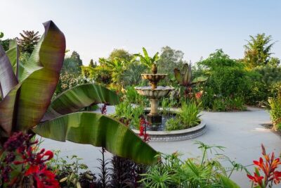 RHS Garden Wisley Entry Ticket