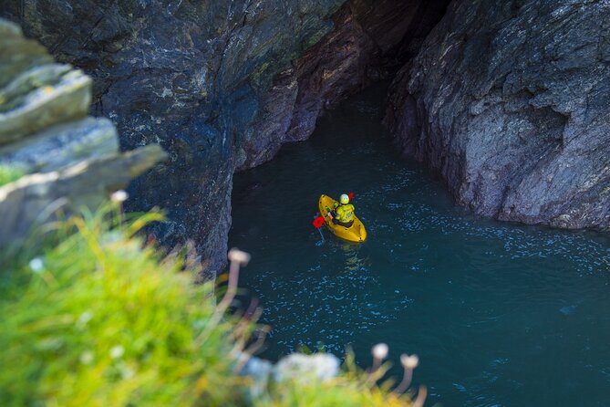 Sea Kayak Lesson & Tour in Newquay - Wildlife Encounters: Seals and the Best Kind of Surprise