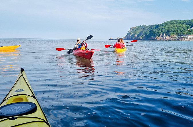 Sea Kayak Taster Tour 90 Minutes for 4 People - February Paddling and Weather Reality on the Devon Coast