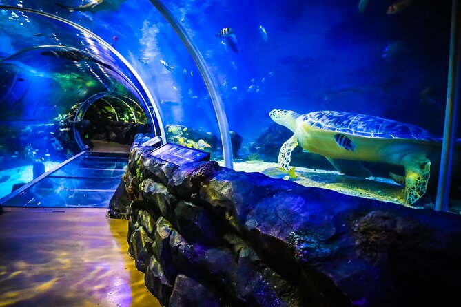 SEA LIFE Birmingham Admission Ticket - Where the SEA LIFE Birmingham visit happens