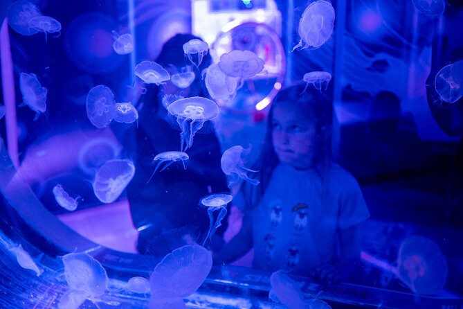 SEA LIFE Birmingham Admission Ticket - Penguins and the cheeky side of marine life