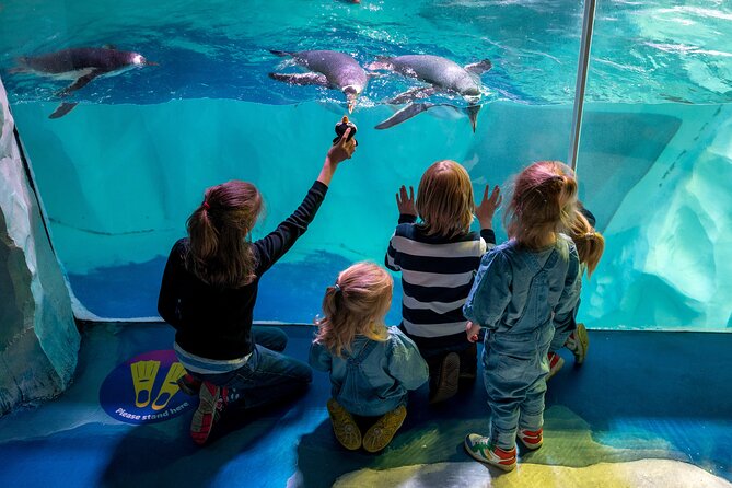 SEA LIFE Birmingham Admission Ticket - Timing your visit, pacing, and avoiding the value trap