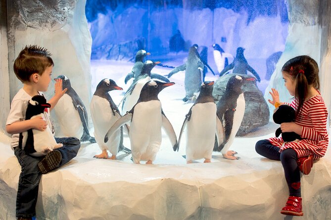 SEA LIFE Birmingham Admission Ticket - Price, time, and what you actually get for $26.05