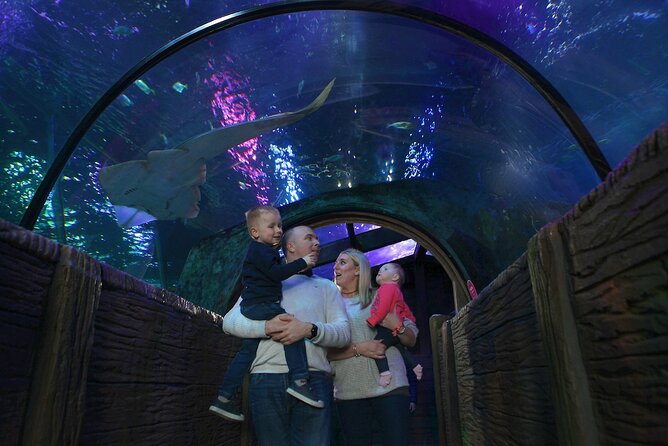 SEA LIFE Blackpool Admission Ticket - Key highlights I’d plan around