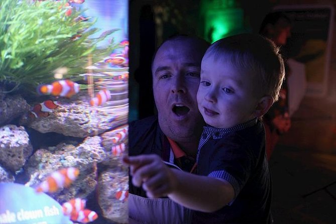 SEA LIFE Blackpool Admission Ticket - A quick reality check before you go
