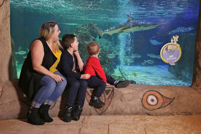 SEA LIFE Blackpool Admission Ticket - Seahorse Kingdom: breeding success meets small-animal focus