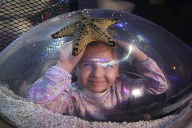 SEA LIFE Blackpool Admission Ticket - Submarine ride and the deeper-water style exhibits