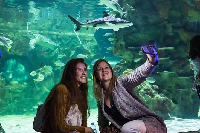 SEA LIFE Brighton Admission Ticket - Getting In Fast: Prebooked Sea Life Brighton in the Victorian Arcade