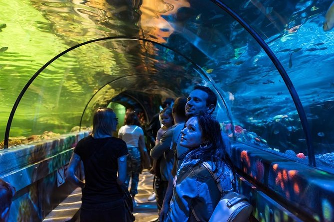 SEA LIFE Brighton Admission Ticket - Claws Exhibit: Crabs, Predators, and the Japanese Spider Crab