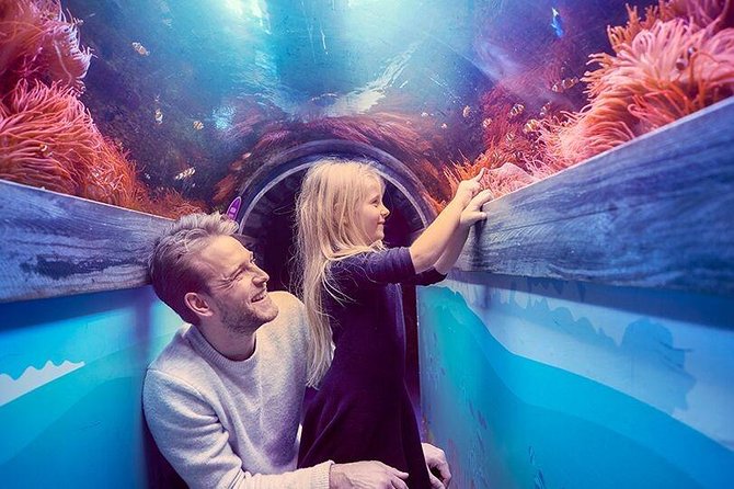 SEA LIFE Brighton Admission Ticket - How Long to Plan, Where to Start, and Family-Friendly Timing