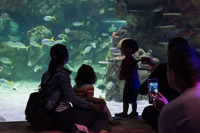 SEA LIFE Brighton Admission Ticket - Price and Value: Is $21.94 Worth It?