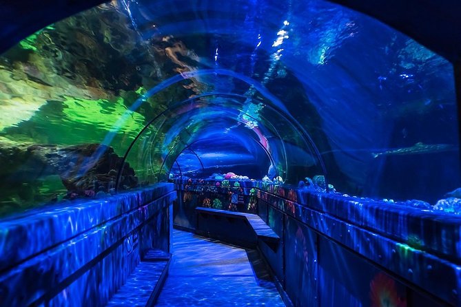 SEA LIFE Brighton Admission Ticket - Should You Book Sea Life Brighton?