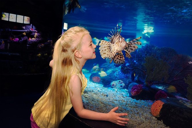 SEA LIFE Great Yarmouth General Admission - Key Things I’d Not Miss