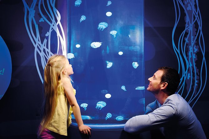 SEA LIFE Great Yarmouth General Admission - Lost City of Atlantis and the Tropical Ocean Display Tunnel