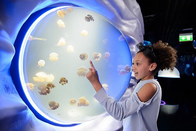 SEA LIFE London Aquarium Admission Ticket - Key things to know before you go