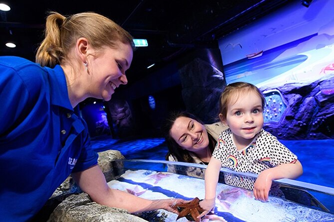 SEA LIFE London Aquarium Admission Ticket - Timed entry at SEA LIFE London Aquarium, what you really experience