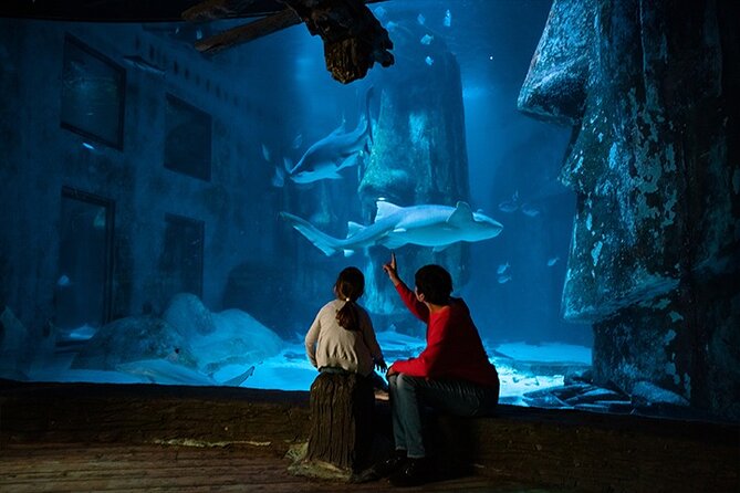 SEA LIFE London Aquarium Admission Ticket - Atlantic Ocean highlights, jellyfish, octopus, and the Shark Reef Encounter