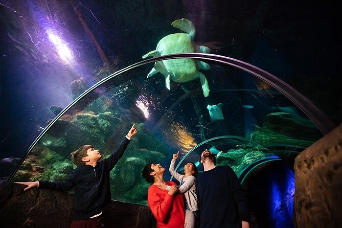 SEA LIFE London Aquarium Admission Ticket - Rainforest Adventure and 360-degree interactive views