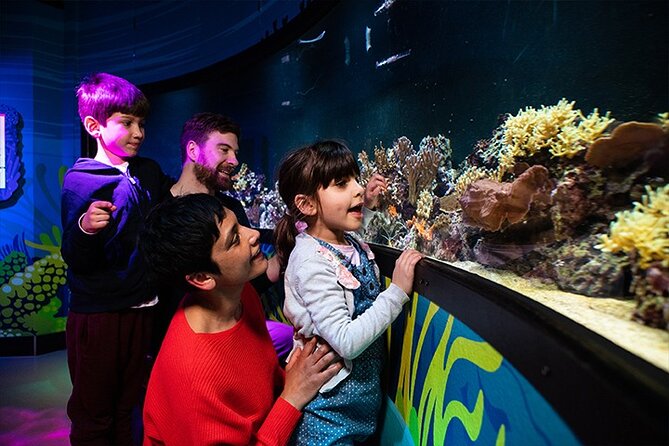 SEA LIFE London Aquarium Admission Ticket - Value and price: is $38.48 worth it?