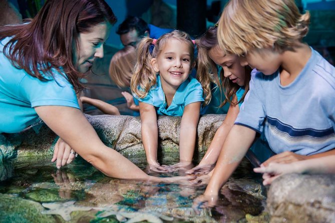SEA LIFE Manchester Admission Ticket - The color-changing jellyfish tank: fun facts with real staying power