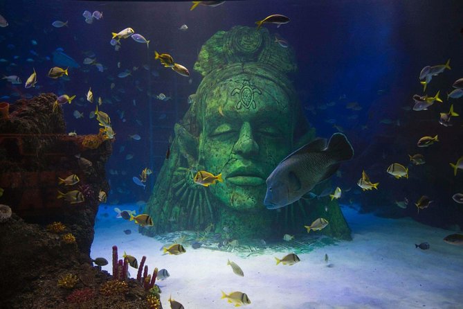 SEA LIFE Manchester Admission Ticket - Sharks overhead and the glass tunnel effect