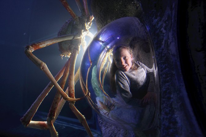 SEA LIFE Manchester Admission Ticket - Tropical ocean tank and the sense of scale