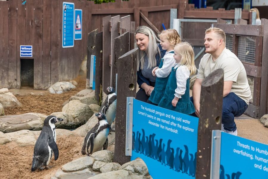 Sea Life Scarborough - Adventure Quiz trail: a simple game for attention