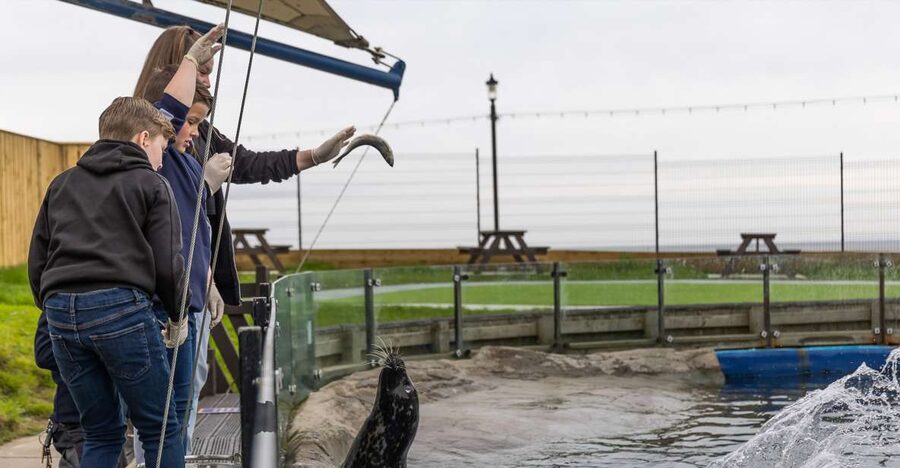 Sea Life Scarborough - Where Sea Life Scarborough is and how to start your visit