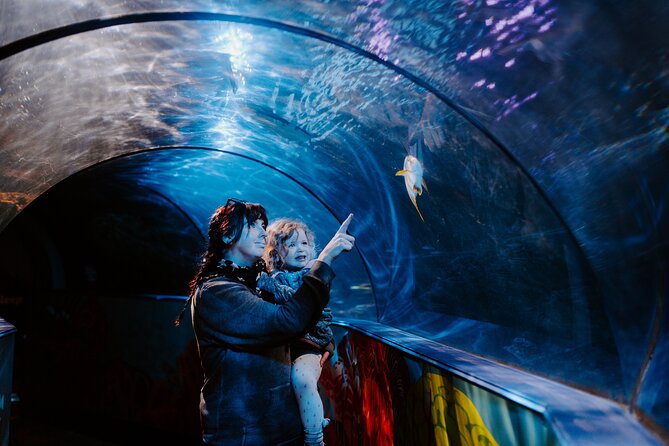 SEA LIFE Weymouth Admission Ticket - Price and value: what $19.34 buys you in Weymouth