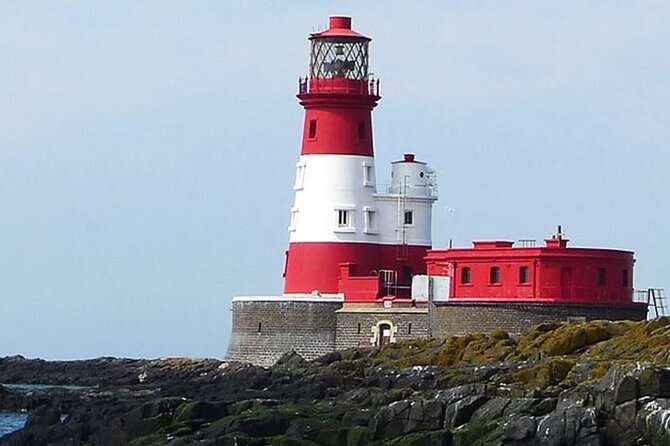 Seabird & Seal Farne Islands Cruise. 1.5 hours long. Departing from Seahouses. - No landing on the islands, which changes the kind of experience you get
