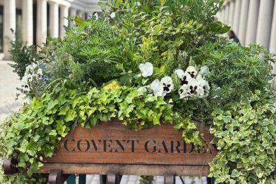 Secrets of London Covent Garden & Rules Restaurant Tour